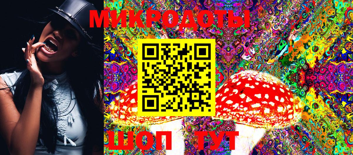 Псилоцибиновые грибы Psilocybine cubensis Моздок